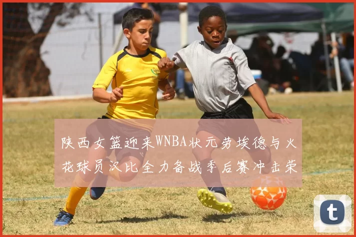 陕西女篮迎来WNBA状元劳埃德与火花球员汉比全力备战季后赛冲击荣耀